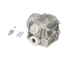 Chiuloasa GY6/Atv/Moped, 50cc, 39mm