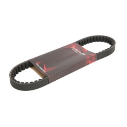 Curea transmisie 669x18x30, Gy6, roata 10