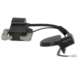 Cdi Pocket bike