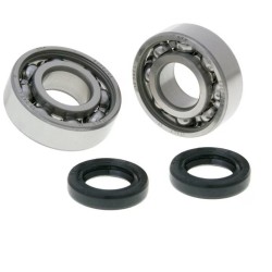 Set rulmenti ambielaj Piaggio Typhoon