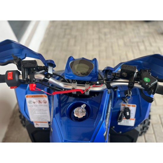 Tao Coyote Quad 8" 125cm3 4T automata benzin kék