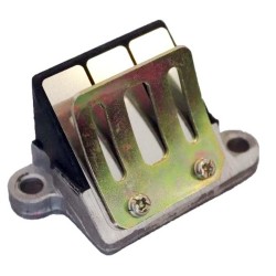 Muzicuta scuter 2T Suzuki 50cc