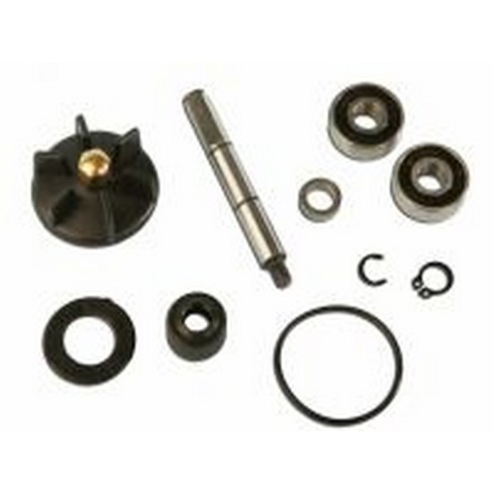 Set reparatie pompa apa Piaggio Gilera/Runner 125cc