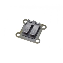 Muzicuta Pocket Bike 47-49cc 2T, Rival Store