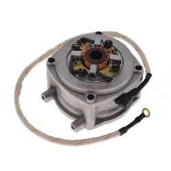 Electromotor Pocket Bike 2T, Rival Store